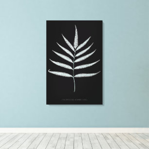 Fern - Polypodyum Grandidens - Röntgenwirkung - 10 Leinwanddruck