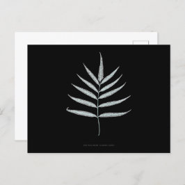Fern - Polypodyum Grandidens - Röntgenwirkung - 10 Postkarte