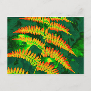 Fern Postkarte