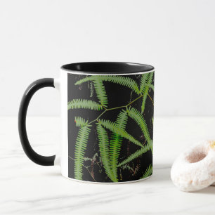 Fern Tasse
