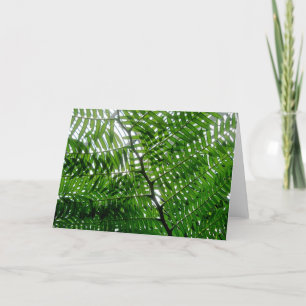 Fern Tree Note Card Karte