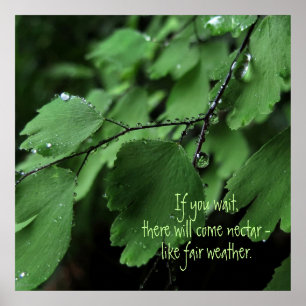 Fern- und Raindrops-Motivierend Poster