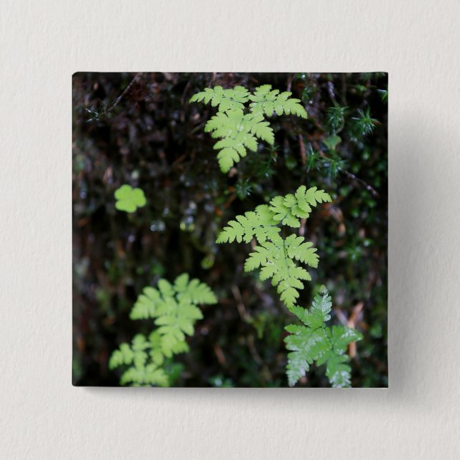 Ferne - button (Vorderseite)