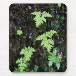 Ferne - mousepad