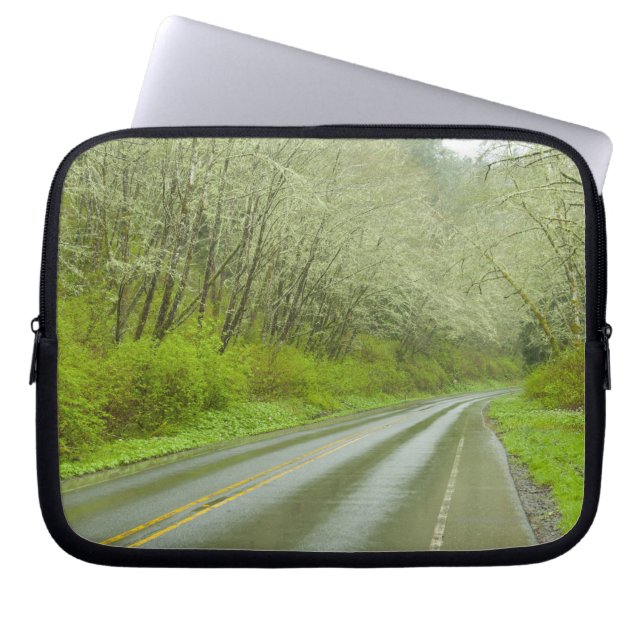 Fernlandstraße durch Wald Laptopschutzhülle (Vorderseite)
