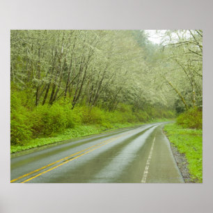Fernlandstraße durch Wald Poster