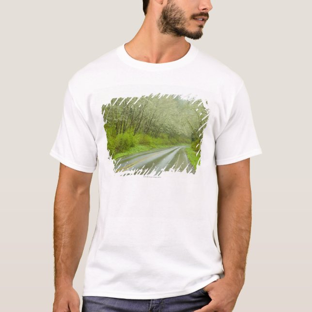 Fernlandstraße durch Wald T-Shirt (Vorderseite)