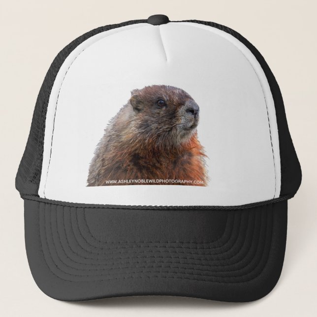 Fernlastfahrerhut Truckerkappe (Vorderseite)