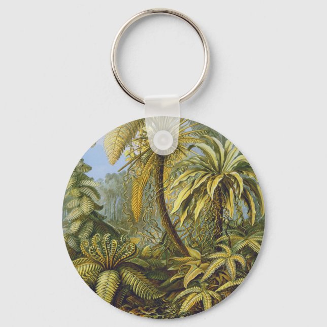 Ferns Ernst Haeckel Fine Art Schlüsselanhänger (Vorderseite)