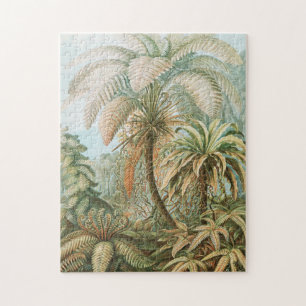 Ferns, Filicinae Laubfarne von Ernst Haeckel