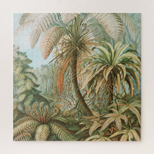 Ferns, Filicinae Laubfarne von Ernst Haeckel (Vertikal)
