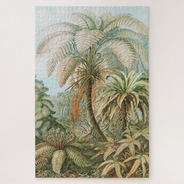 Ferns, Filicinae Laubfarne von Ernst Haeckel (Vertikal)