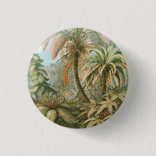 Ferns, Filicinae Laubfarne von Ernst Haeckel Button