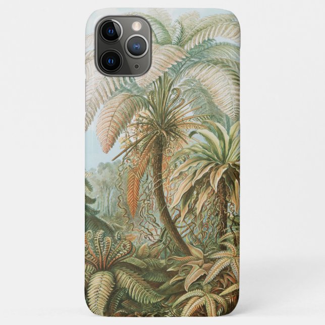 Ferns, Filicinae Laubfarne von Ernst Haeckel Case-Mate iPhone Hülle (Rückseite)
