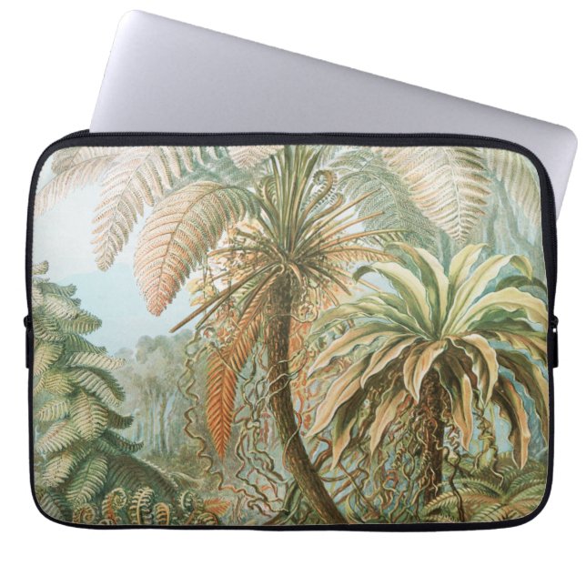 Ferns, Filicinae Laubfarne von Ernst Haeckel Laptopschutzhülle (Vorderseite)