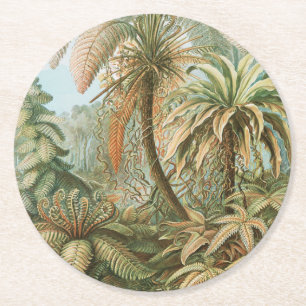 Ferns, Filicinae Laubfarne von Ernst Haeckel Runder Pappuntersetzer