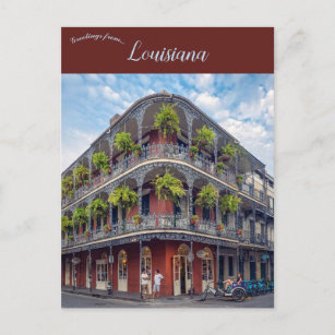 Ferns im französischen Viertel New Orleans Louisia Postkarte