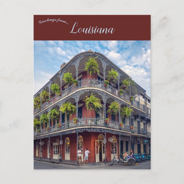 Ferns im französischen Viertel New Orleans Louisia Postkarte (Vorderseite)