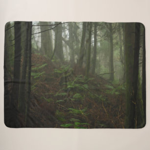 FERNS IN FORREST SHERPADECKE