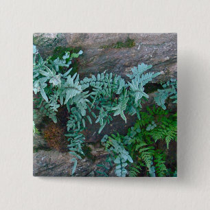 Ferns in Philadelphia Button