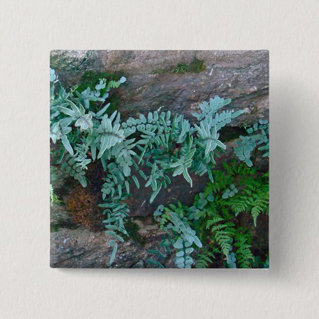Ferns in Philadelphia Button (Vorderseite)