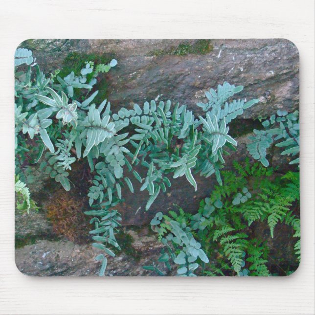 Ferns in Philadelphia Mousepad (Vorne)