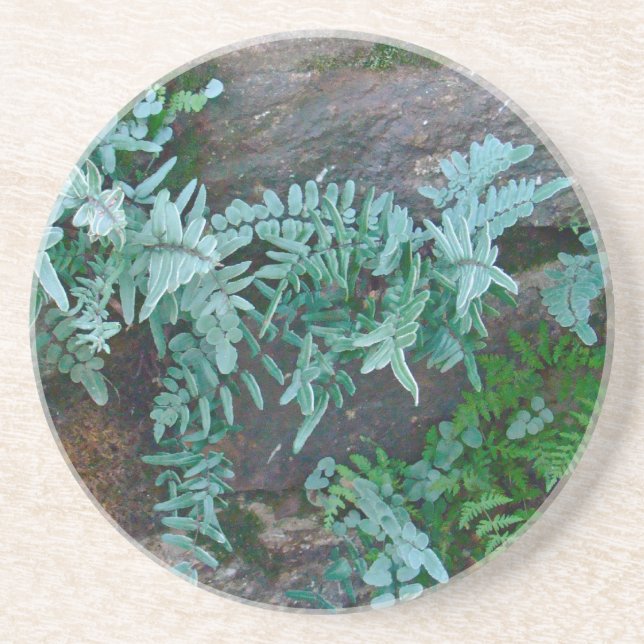 Ferns in Philadelphia Sandstein Untersetzer (Vorne)
