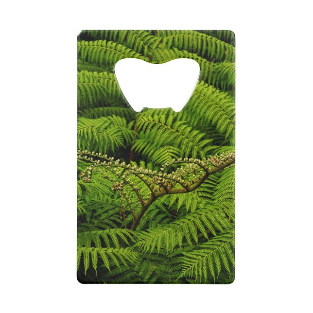 Ferns - Kunstfotografie Geldbeutel Flaschenöffner (Vorderseite)