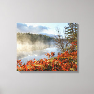 Ferns on Shoreline Paradies, Michigan Leinwanddruck