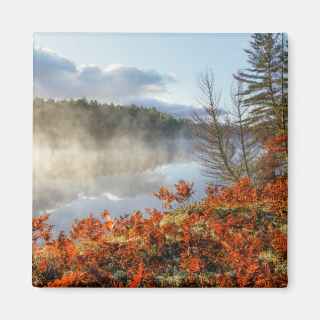 Ferns on Shoreline | Paradies, Michigan Magnet (Vorne)