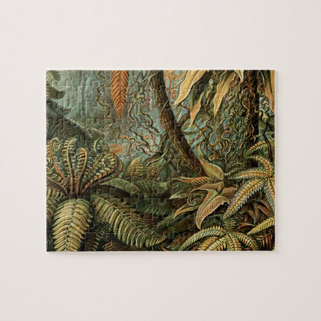 Ferns Palm Tree Antique Botanischer Garten (Horizontal)