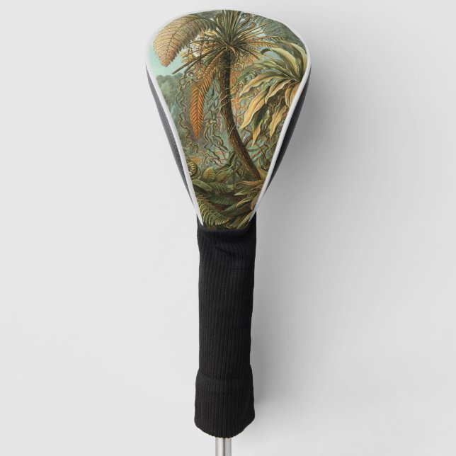 Ferns Palm Tree Antique Botanischer Garten Golf Headcover (Vorderseite)