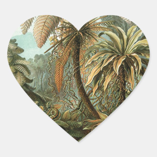 Ferns Palm Tree Antique Botanischer Garten Herz-Aufkleber (Vorderseite)