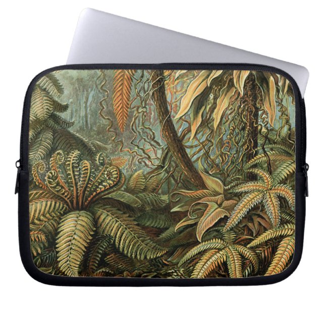 Ferns Palm Tree Antique Botanischer Garten Laptopschutzhülle (Vorderseite)