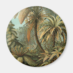 Ferns Palm Tree Antique Botanischer Garten Magnet