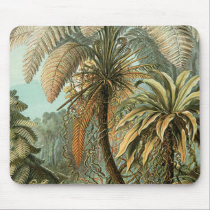 Ferns Palm Tree Antique Botanischer Garten Mousepad