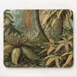 Ferns Palm Tree Antique Botanischer Garten Mousepad