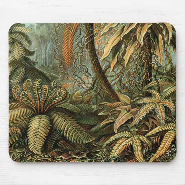 Ferns Palm Tree Antique Botanischer Garten Mousepad (Vorne)