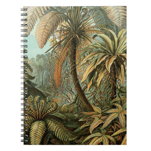 Ferns Palm Tree Antique Botanischer Garten Notizblock (Vorderseite)