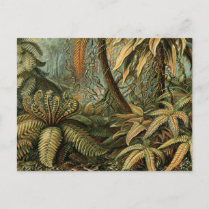 Ferns Palm Tree Antique Botanischer Garten Postkarte