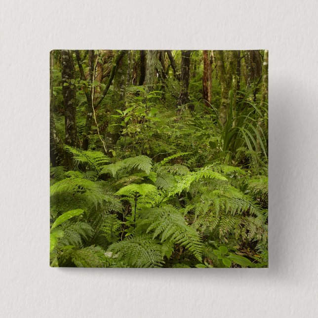 Ferns und Mutterbusch bei Matai Falls, Catlins Button (Vorderseite)