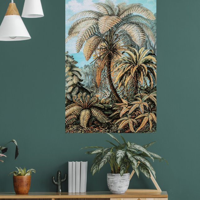 Ferns Vintage Pflanze von Ernst Haeckel Poster (Wohnzimmer 1)