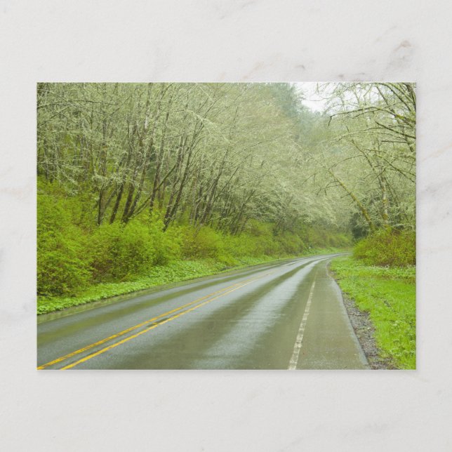 Fernstraße durch den Wald Postkarte (Vorderseite)