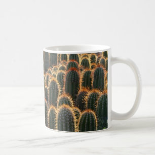 Ferocactuswald, Tasse