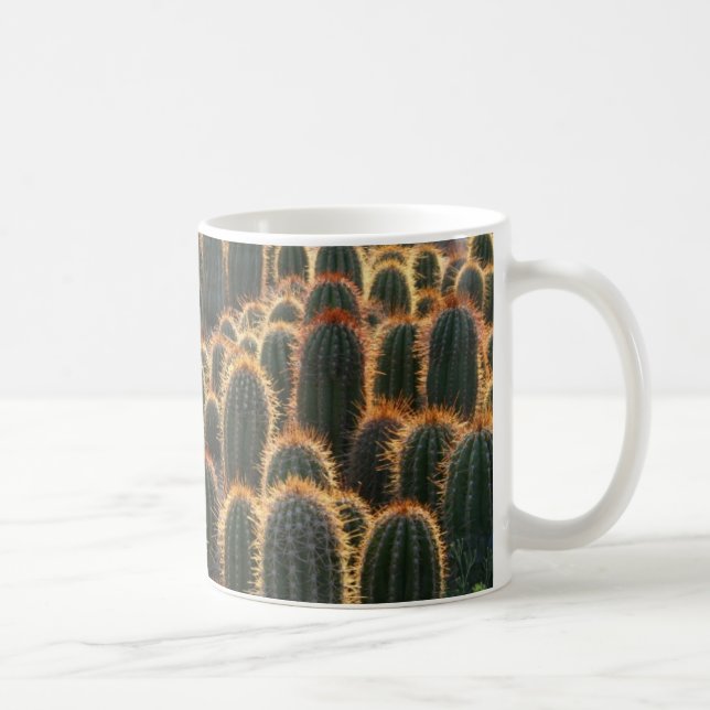 Ferocactuswald, Tasse (Rechts)