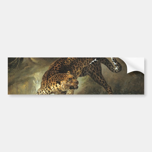 Ferocious Wild Leopard (von Jean-Baptiste Oudry) Autoaufkleber (Vorne)