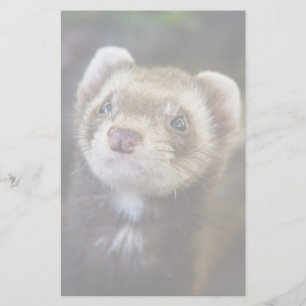Ferret Briefpapier