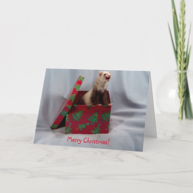 Ferret de la carte de Noël (Devant)