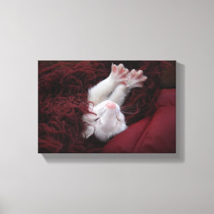Ferret Dezember - Stretched Canvas Prints Leinwanddruck