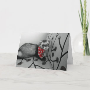 Ferret En Bandana Rouge Carte Anniversaire